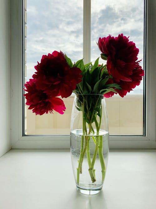 A Red Flowers on a Clear Glass Vase