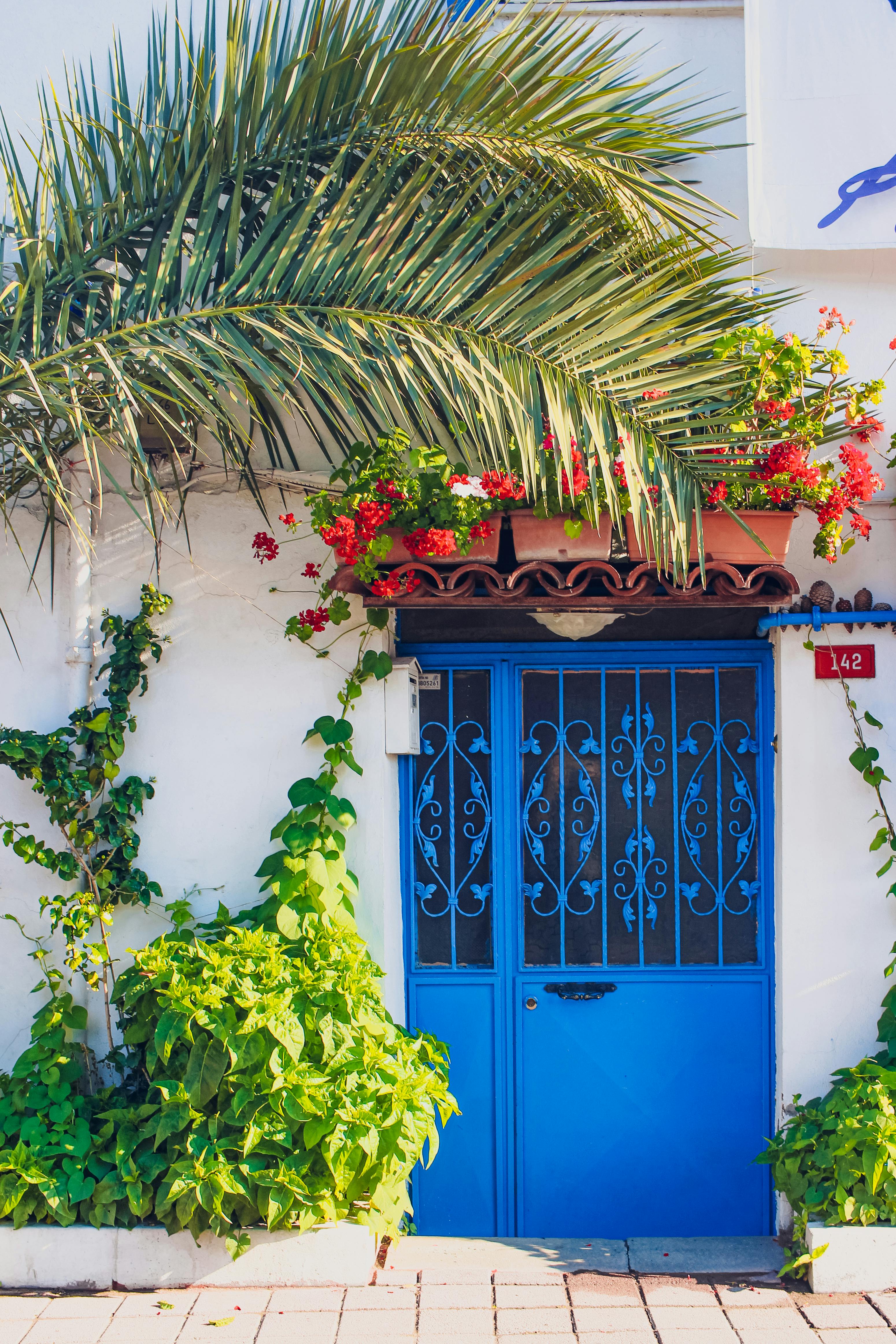 A vibrant entrance featuring a blue metal gate surrounded by tropical foliage and colorful flowers.