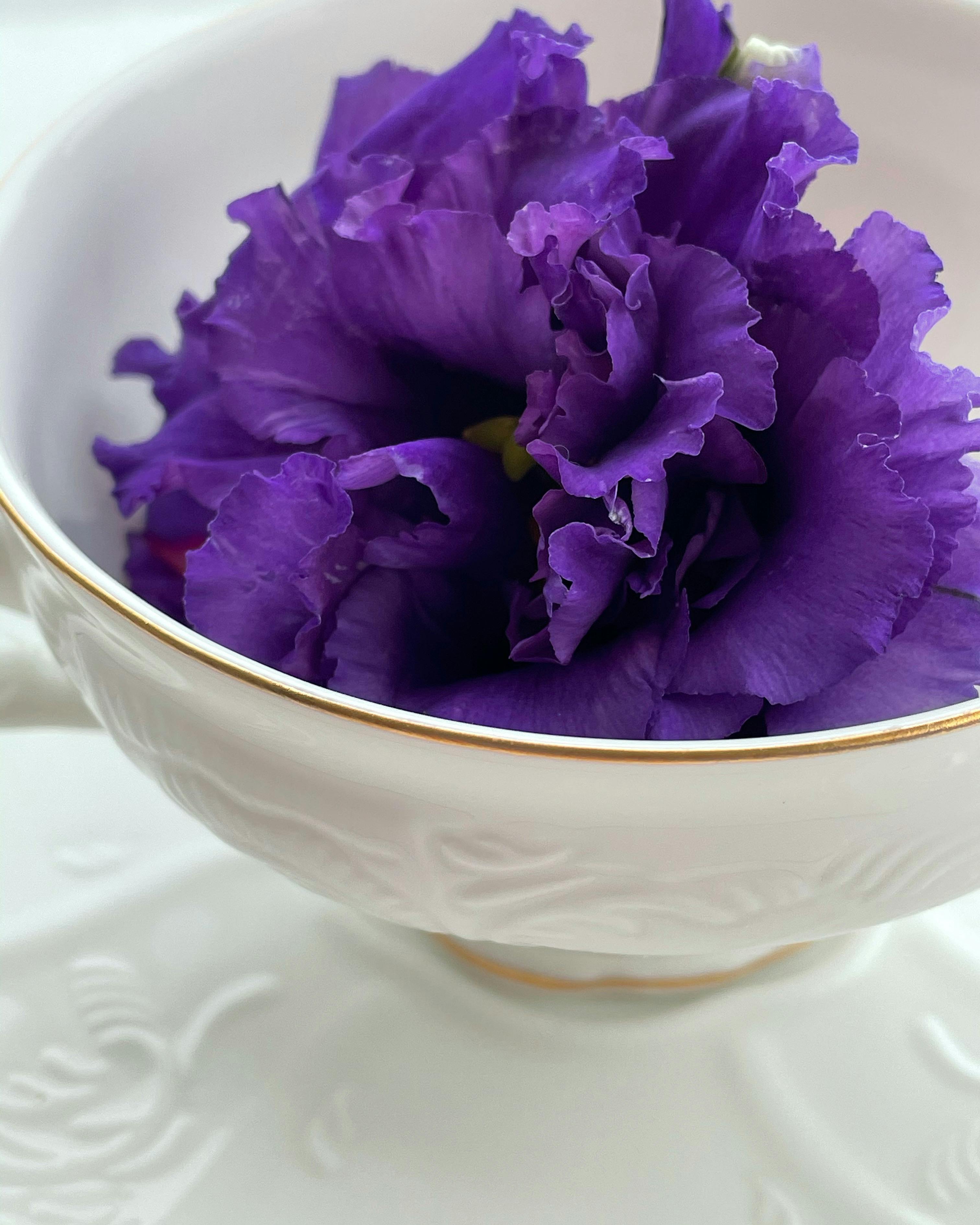 Close-up of vibrant purple blooms in a decorative ceramic bowl. Artful and serene display.