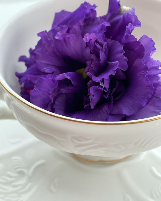 Close-up of vibrant purple blooms in a decorative ceramic bowl. Artful and serene display.