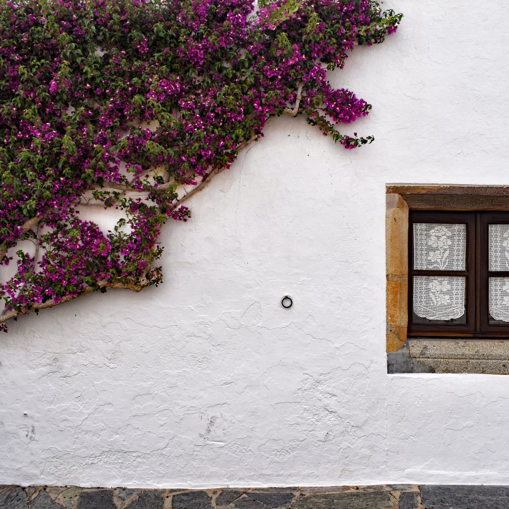 Exterior Painting in Ealing — walls rolled to an even, flat finish