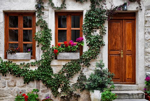 Free Elegant wooden doorway framed by lush ivy and vibrant flowers in Kotor, Montenegro. Stock Photo
