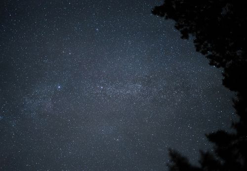 Free Capture of a vast starry night sky with silhouette of trees at the edges, showcasing the beauty of the cosmos. Stock Photo