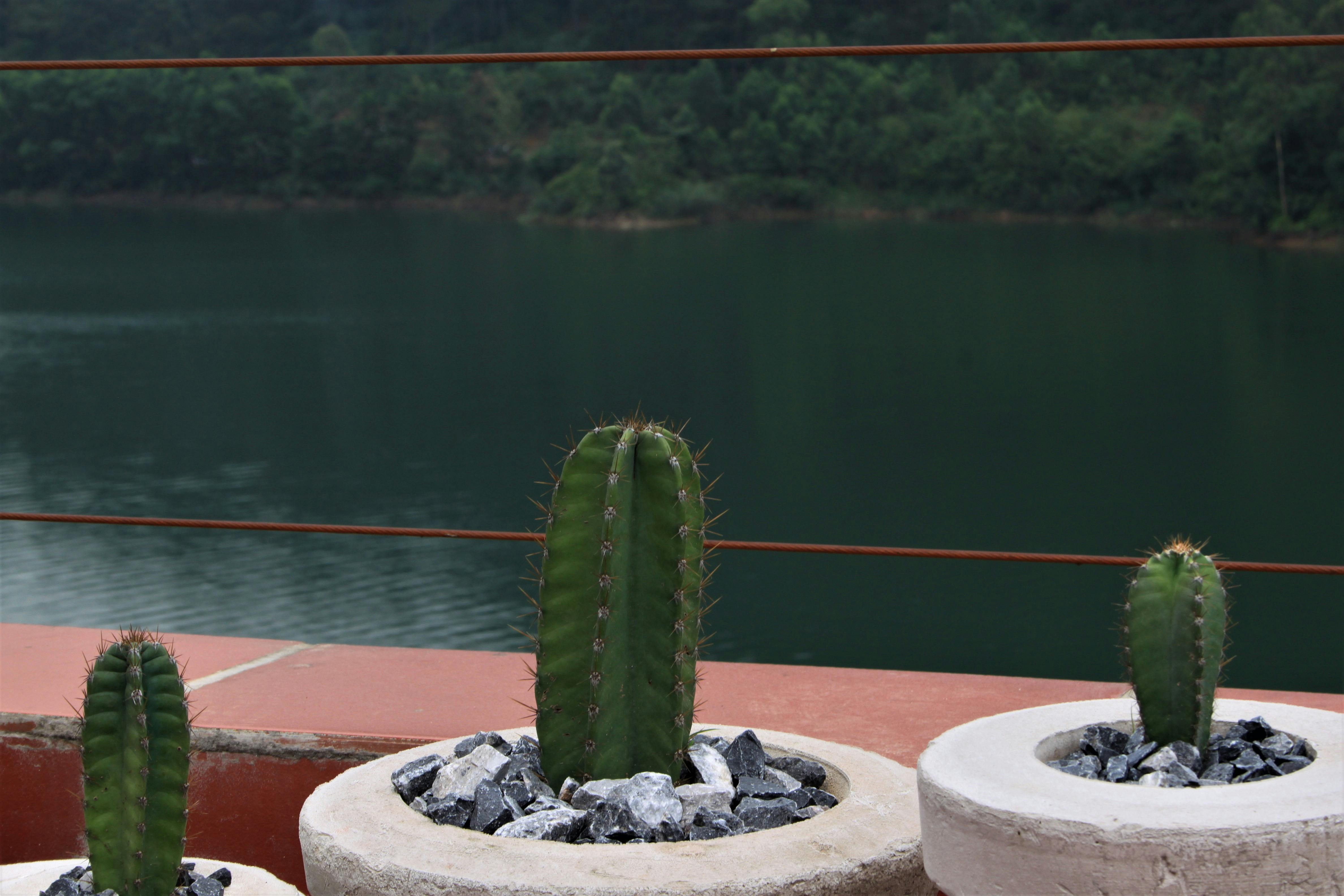 FX 트레이딩 차트 분석