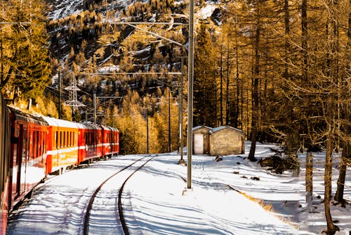бесплатная Красный поезд возле деревьев Стоковое фото