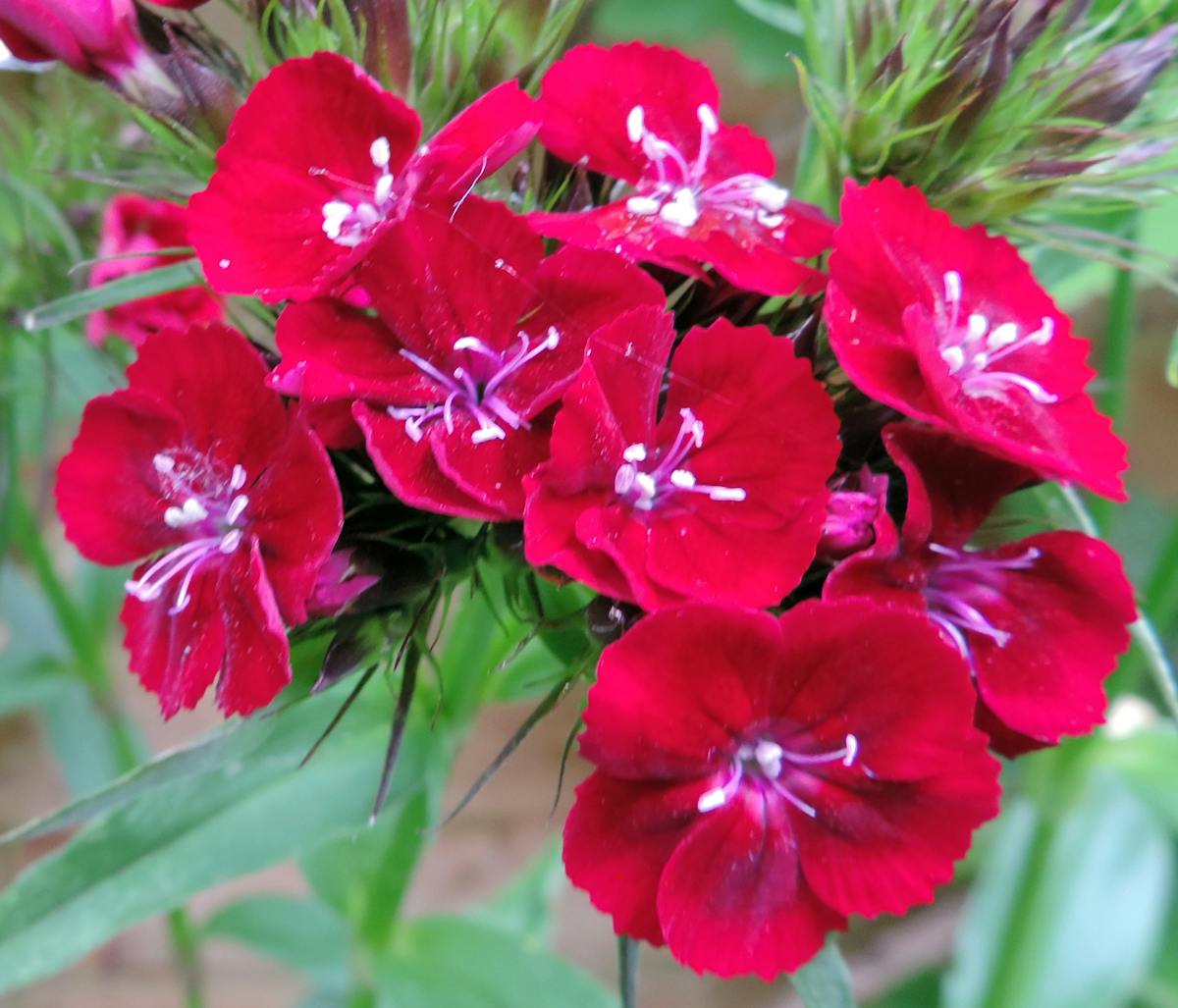 Person wearing a modern VR headset in a living room, interacting with digital content.