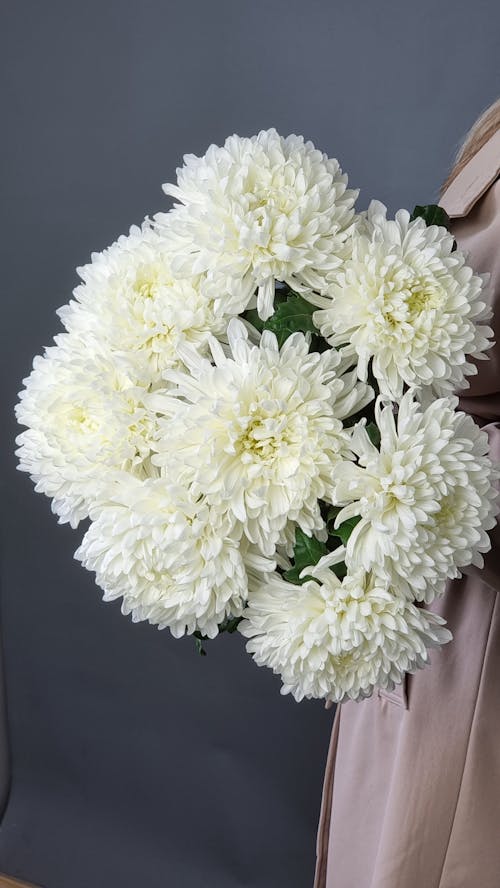 A Person Holding a Bouquet of White Chrysanthemum Flowers