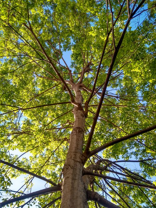 Free stock photo of beauty of nature Stock Photo