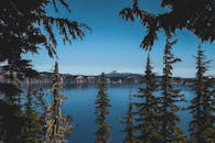 在晴朗的蓝天下，火山口湖的宁静景色由常绿树木构成