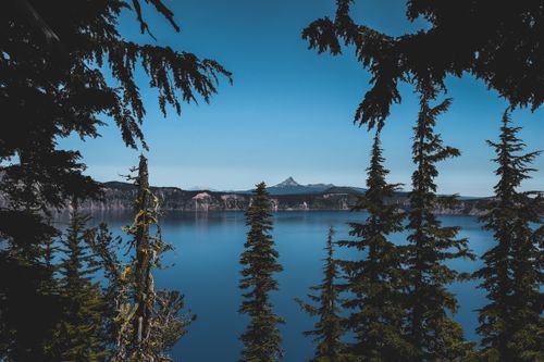 Free A tranquil view of Crater Lake framed by evergreen trees under a clear blue sky. Stock Photo
