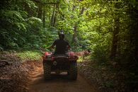 A Man Riding an All Terrain Vehicle in the Forest