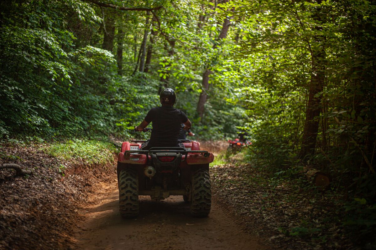 ATV quad riding a dirt trail through a green forest