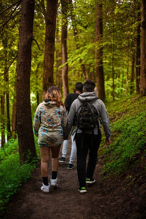 Free A Couple Holding Hands while Hiking Through a Forest Stock Photo