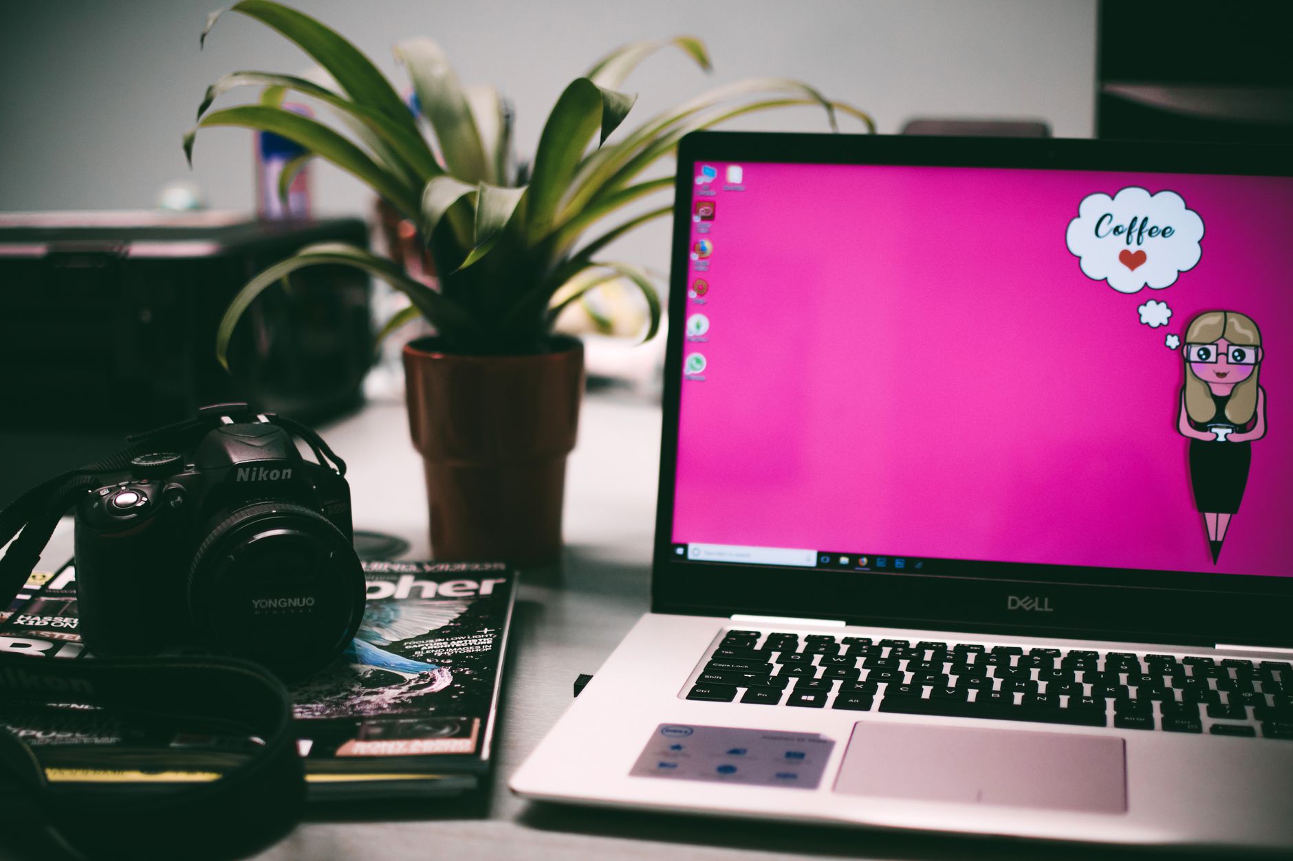 Dell 16 Premium, Nikon ZR, Ooni Volt 2 și altele