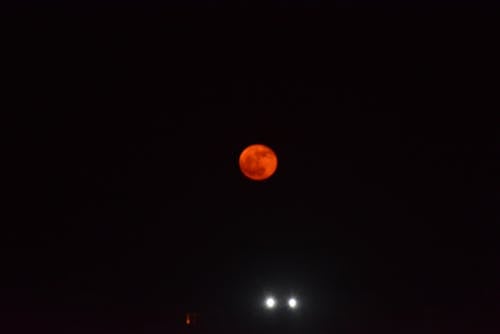 Free stock photo of blood moon, full moon, moon photography Stock Photo