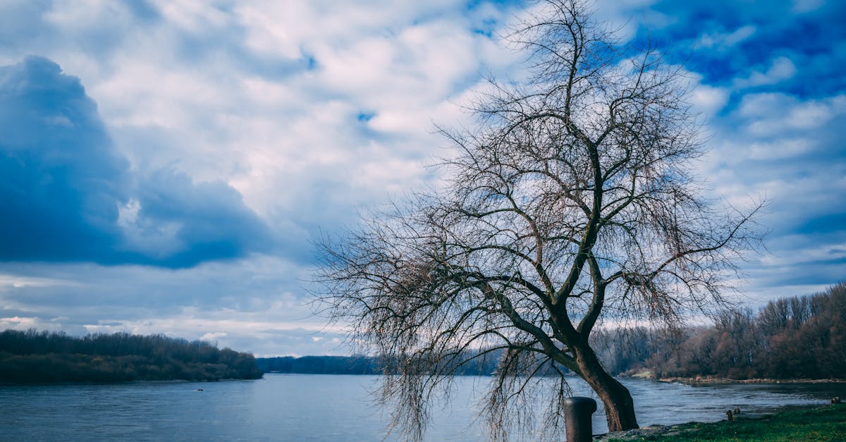 Croisière Danube : Conseils et Astuces pour un Voyage inoubliable !