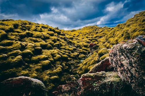 Základová fotografie zdarma na téma denní světlo, hora, island