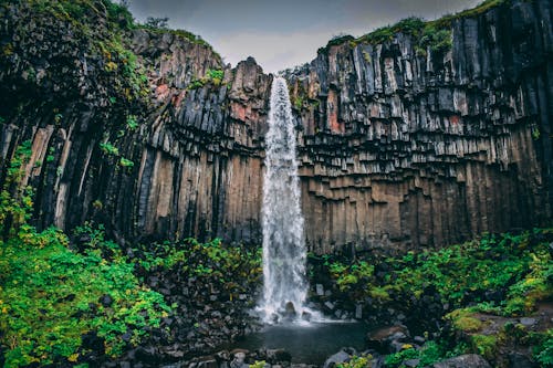 Kostenlos Wasserfall Mit Grüner Blatt Pflanzen Ansicht Umgeben Stock-Foto