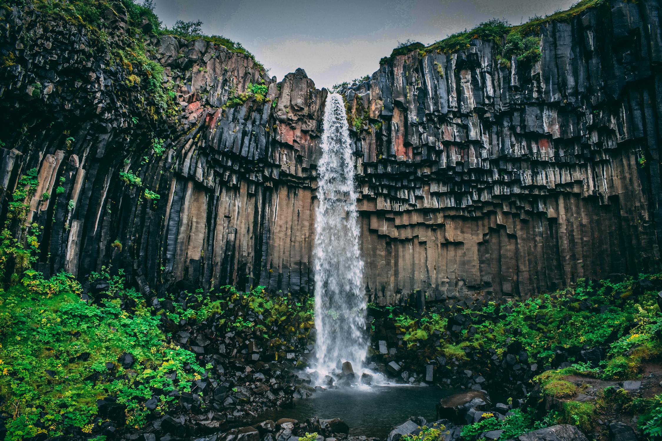 waterfalls Photo by Rudolf Kirchner from Pexels: https://www.pexels.com/photo/waterfall-surrounded-with-green-leaf-plant-view-831062/