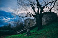 斯洛伐克的德文城堡废墟在暮色中呈现出一种大气的场景，其中有一座孤立的雕像和一棵树