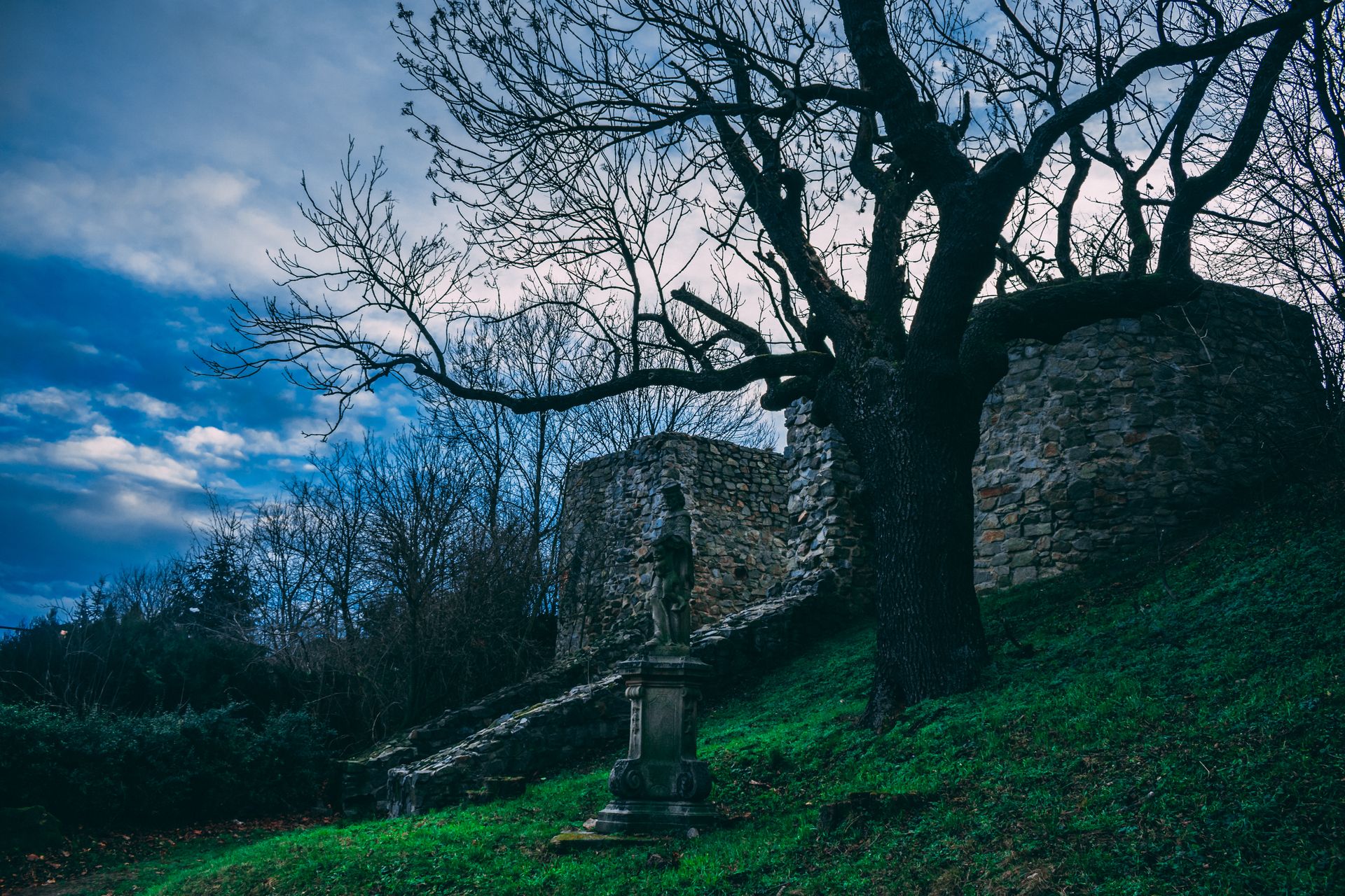 Atmospheric twilight scene of Devín Castle ruins with a lone statue and tree, Slovakia.
