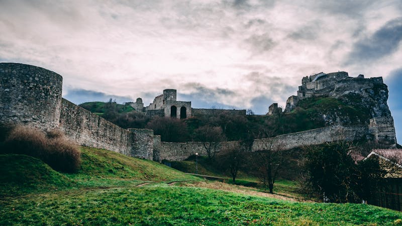Falaises et littoral avec chien en promenade