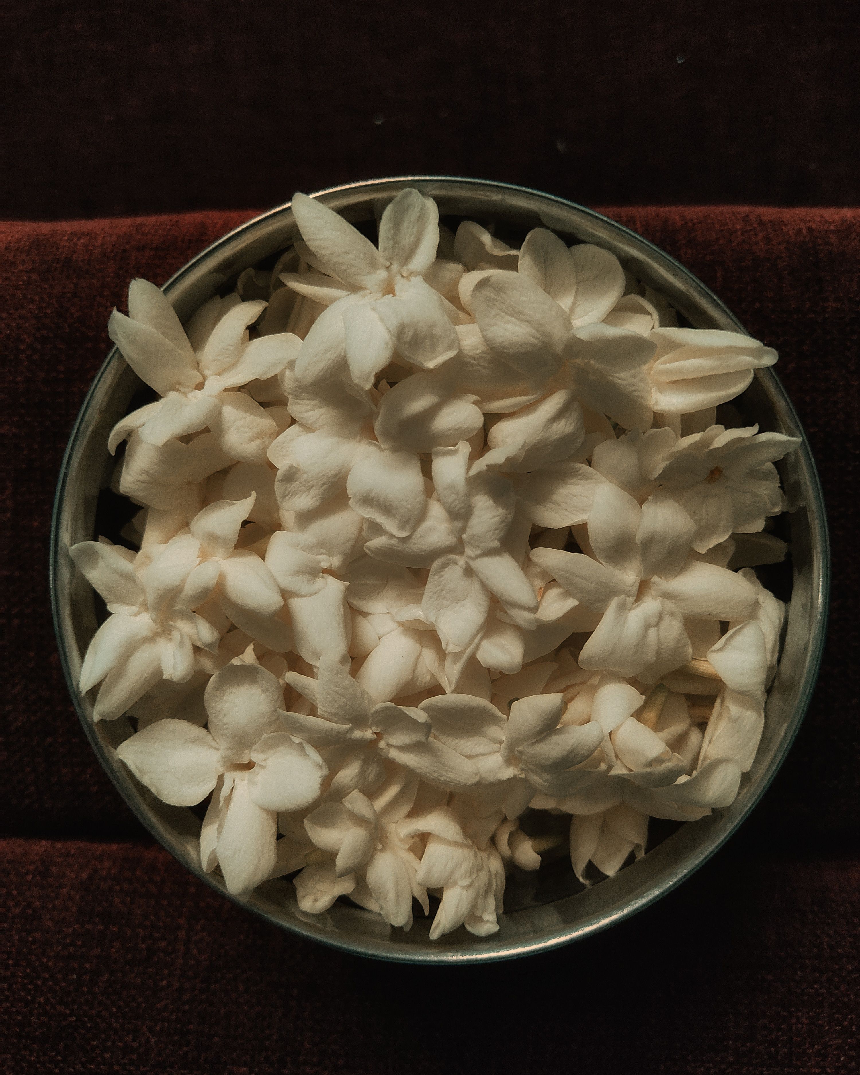 Elegant white jasmine flowers arranged in a bowl, viewed from above, perfect for zen and relaxation themes.