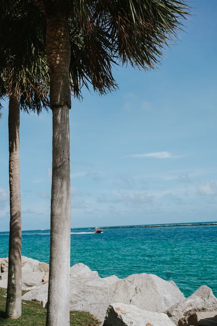 Scenic view of Miami Beach with palm trees and turquoise ocean under a blue sky.