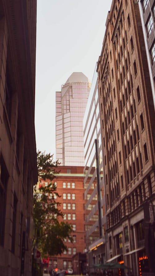 Immagine gratuita di città, grattacielo, montreal