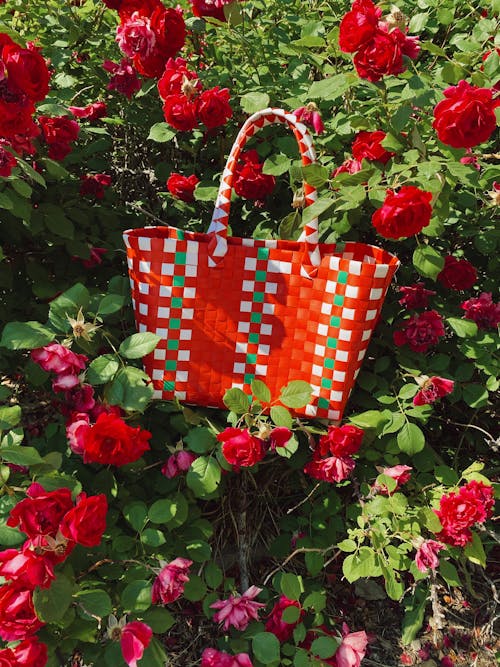Red bag for shopping in blooming rose garden