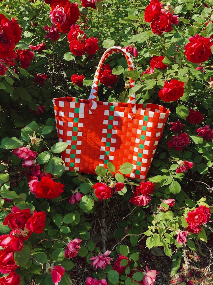 Red Bag For Shopping In Blooming Rose Garden