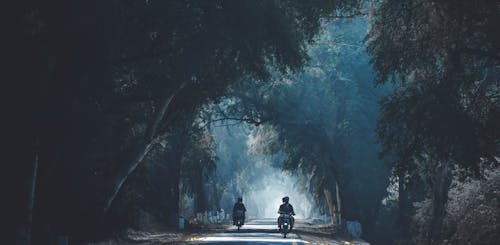 Due Persone In Sella A Una Motocicletta Nel Mezzo Della Foresta