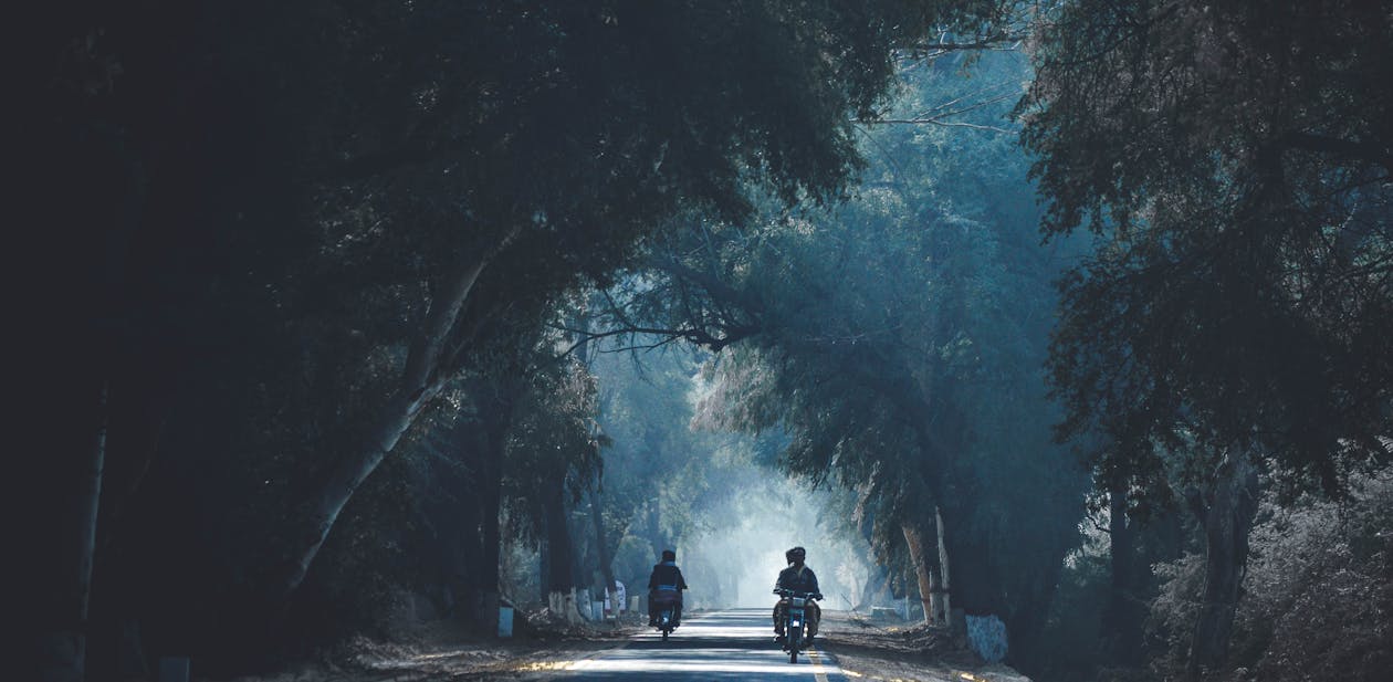 Duas Pessoas Andando De Motocicleta No Meio Da Floresta