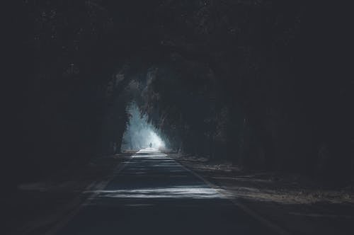 Foto d'estoc gratuïta de a l'aire lliure, arbres, carretera