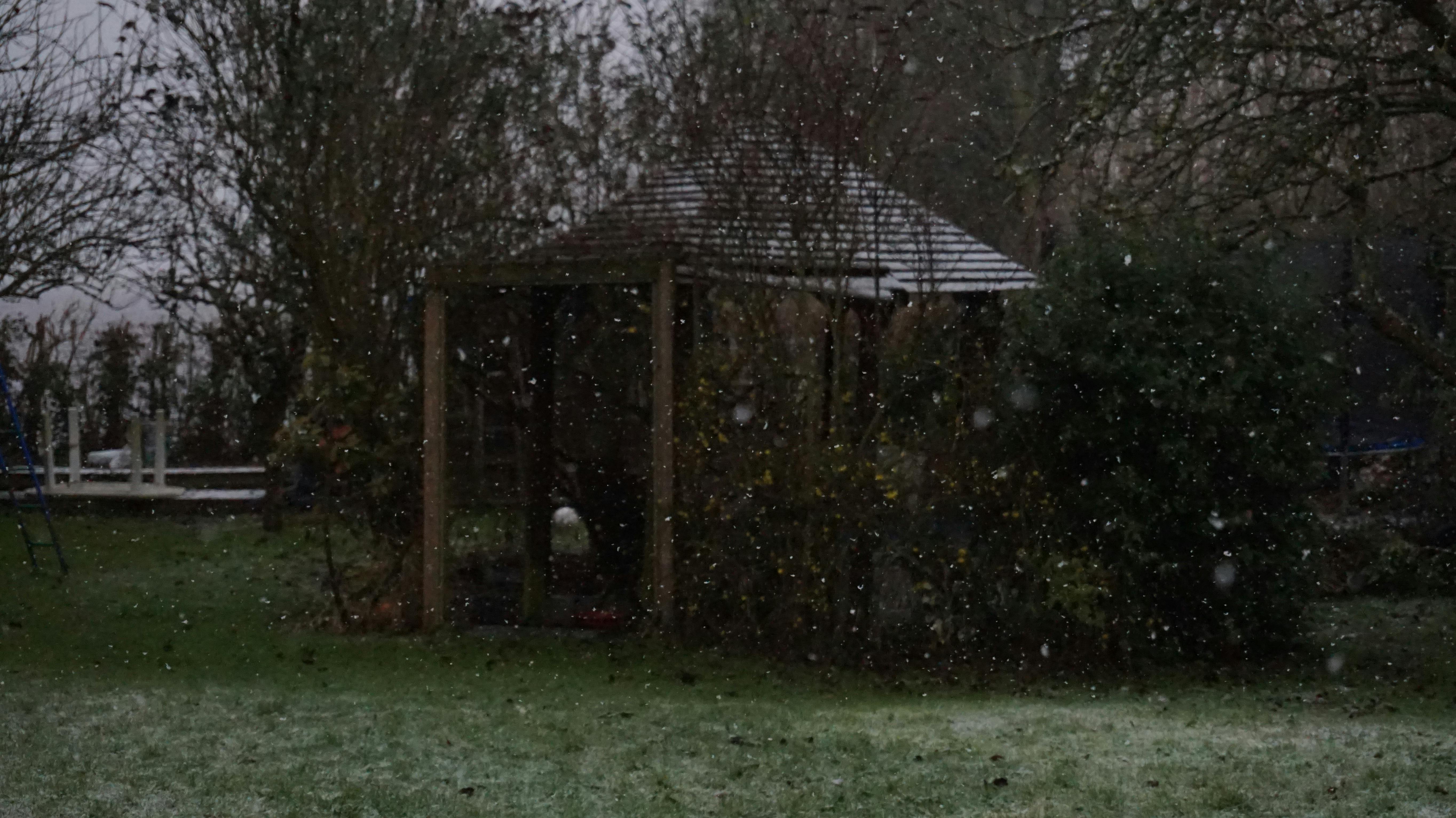 Free stock photo of garden, gazebo, snow