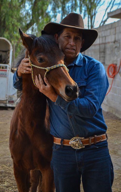 Free Man in cowboy attire lovingly hugging a horse on a farm in a rustic setting. Stock Photo