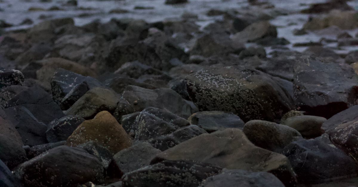 Beach Rocks Close Close Up of Rocks on Beach · Free Stock Photo