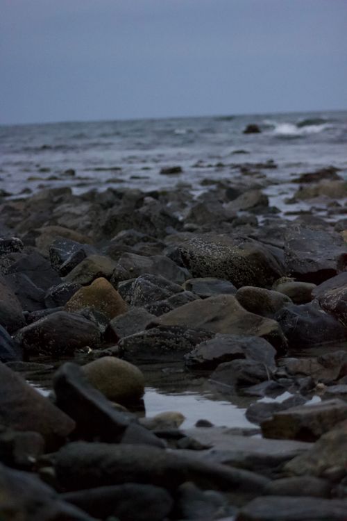 Beach Rocks Close Close Up of Rocks on Beach · Free Stock Photo