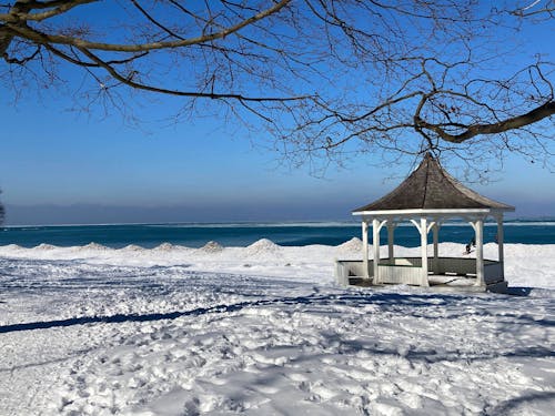 A Gazebo on a Snow Covered Ground Near the Leafless Trees