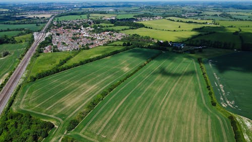 Aerial Shot of a Green Field