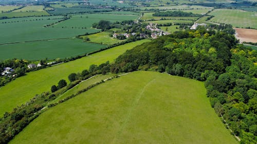 Drone Shot of Fields