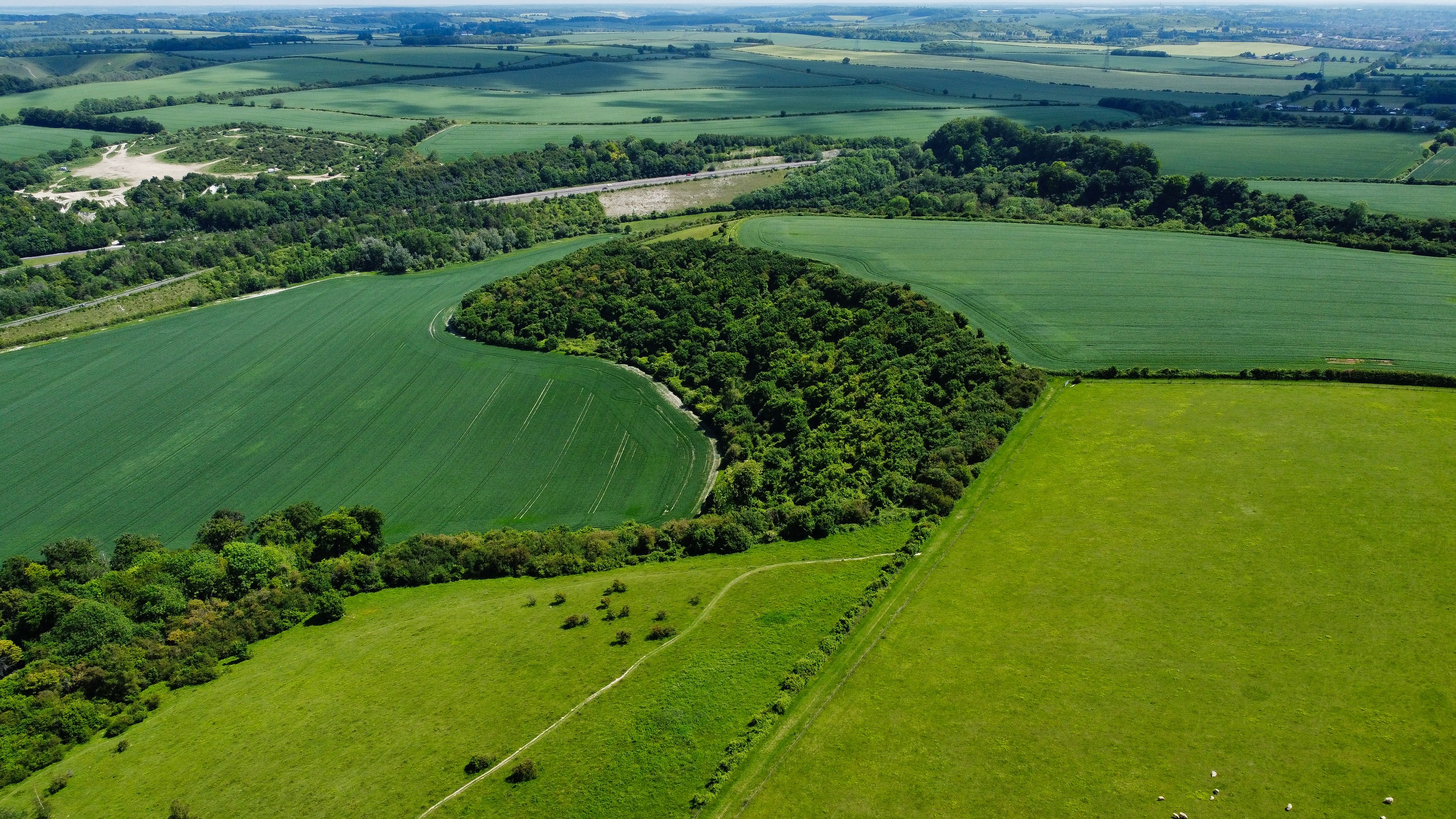 Aerial View of Green Fields · Free Stock Photo