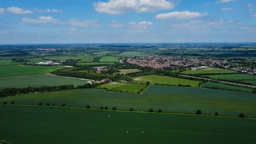 Aerial Shot of Green Fields