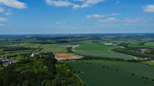 Aerial Shot of Green Fields