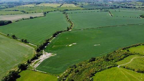 Aerial Photography of Green Fields