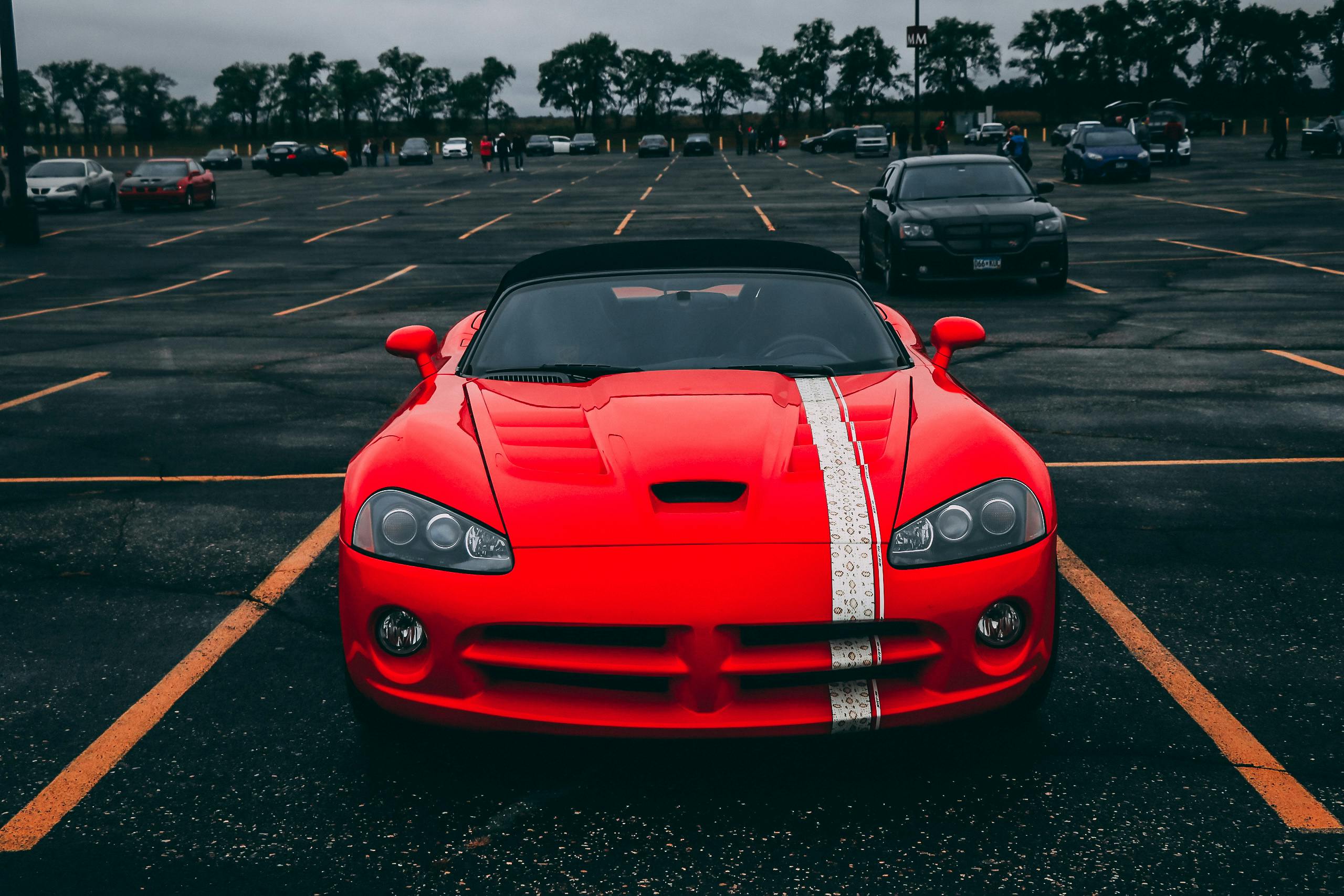 🔥 [64+] Viper Snake Wallpaper | WallpaperSafari