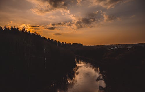 Silhouette of Trees Beside River