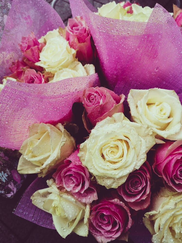 Bouquet Of White And Pink Roses 