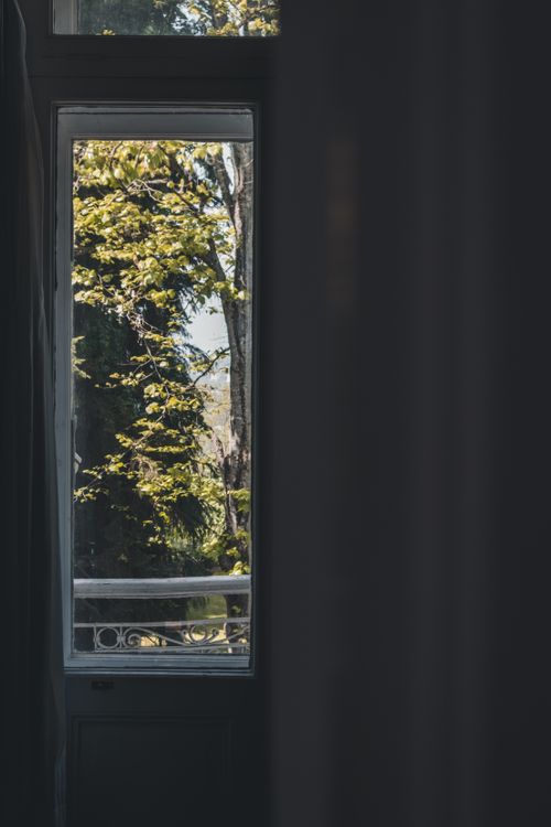 Free A serene view of sunlit trees through a window, capturing a peaceful indoor-outdoor moment. Stock Photo