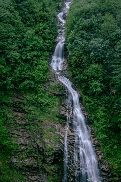 Free Vertical view of a cascading waterfall amidst dense forest in Rize, Turkey showcasing nature's beauty. Stock Photo